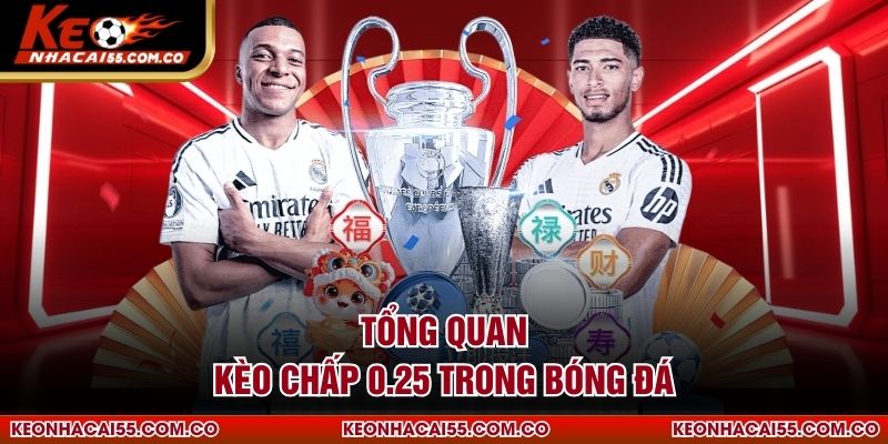 Tổng quan kèo chấp 0.25 trong bóng đá